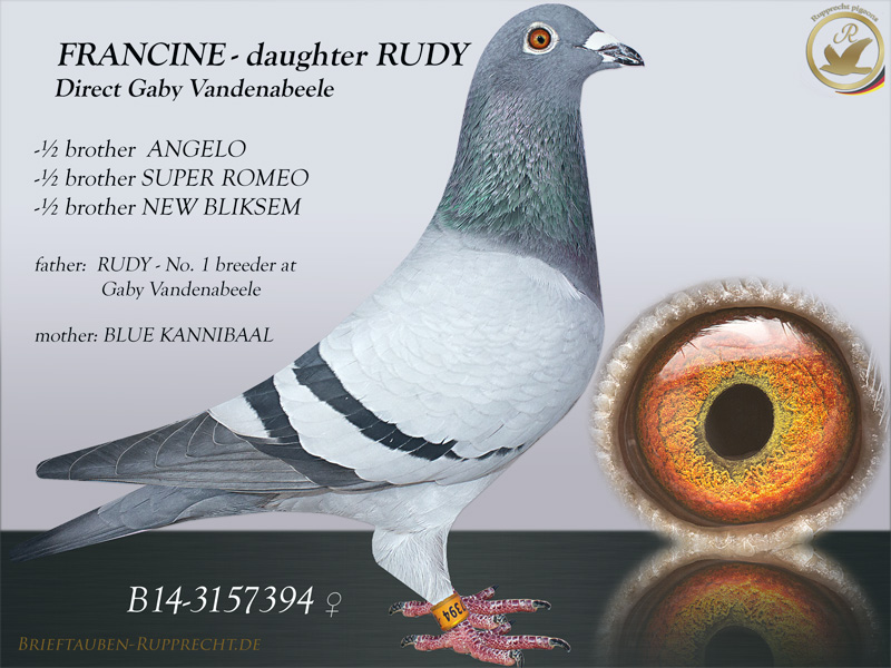 RUDY